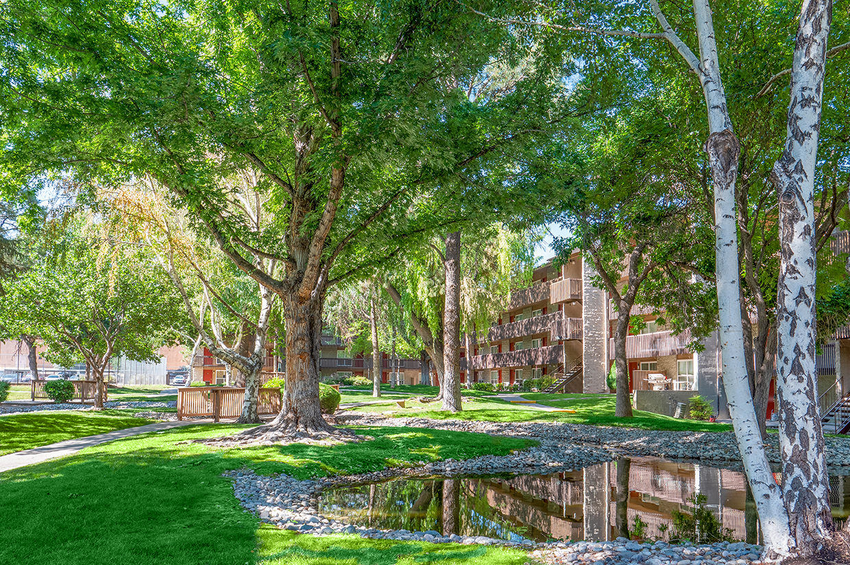 Pond and Pearl at Spring Creek Property